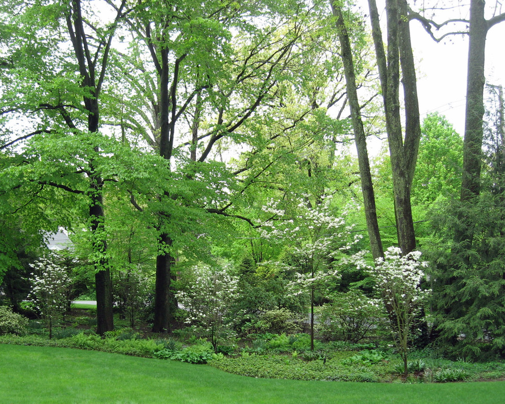 Esempio di un grande giardino classico esposto a mezz'ombra nel cortile laterale in primavera