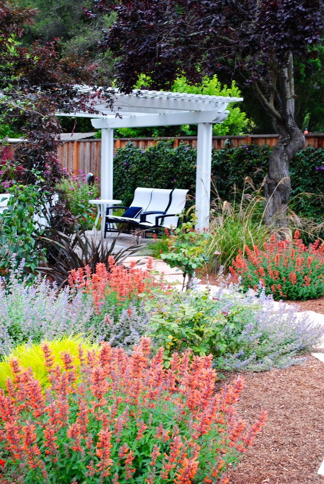 Design ideas for a mid-sized traditional drought-tolerant and full sun backyard landscaping in San Francisco with a pergola.