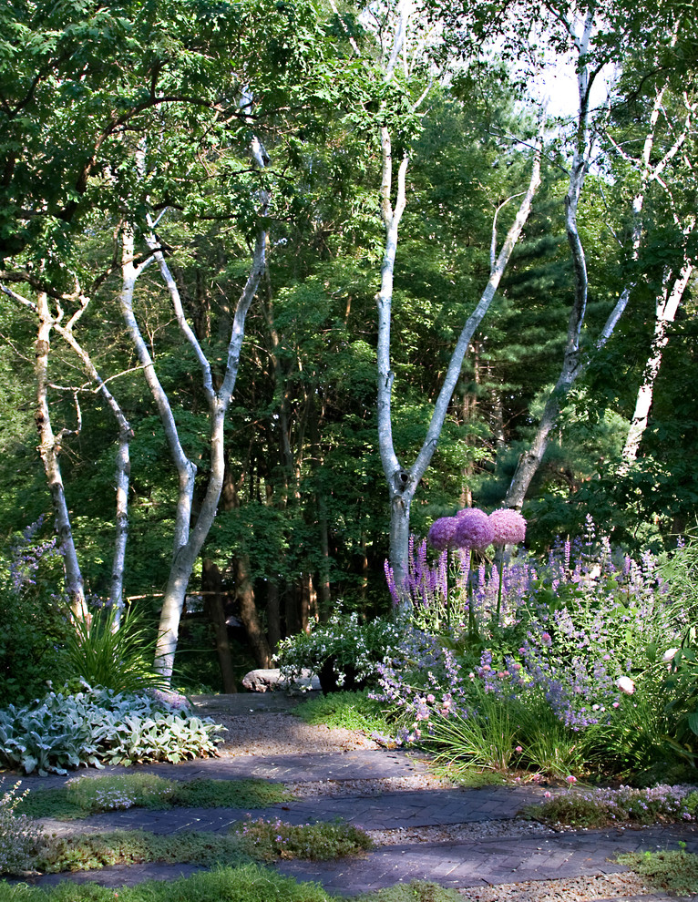 Cette image montre un jardin arrière design avec une exposition ombragée et des pavés en brique.