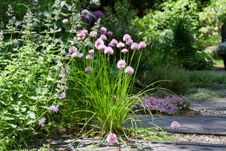 Belmont Hill Residence - Modern - Garten - Boston - von Matthew