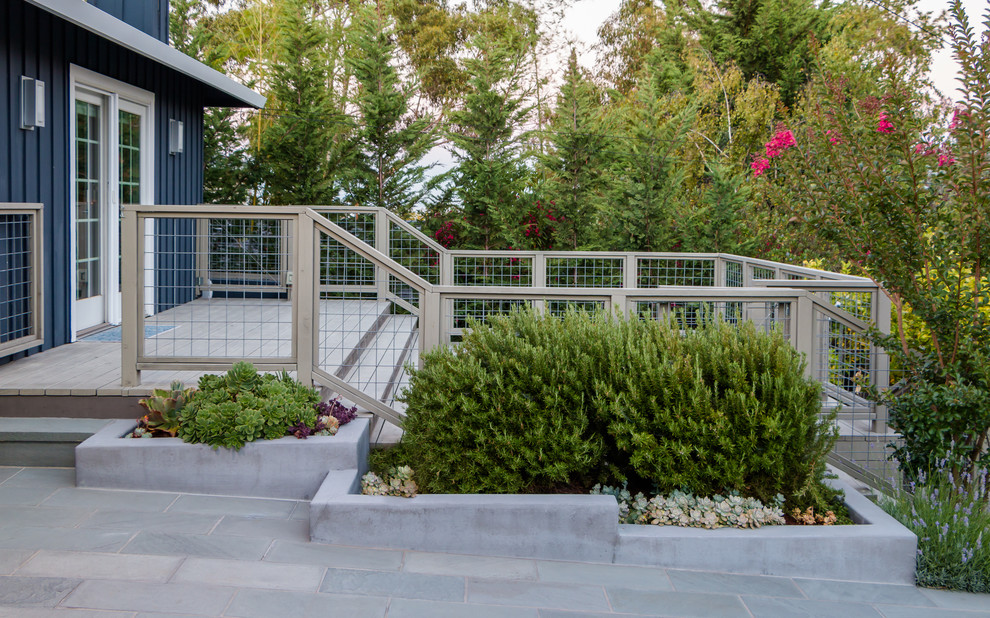 Immagine di un giardino xeriscape minimalista di medie dimensioni e davanti casa con pedane