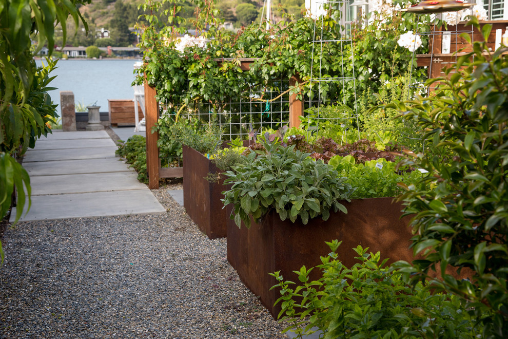Свежая идея для дизайна: солнечный регулярный сад среднего размера на переднем дворе в современном стиле с хорошей освещенностью, покрытием из гравия и растениями в контейнерах - отличное фото интерьера
