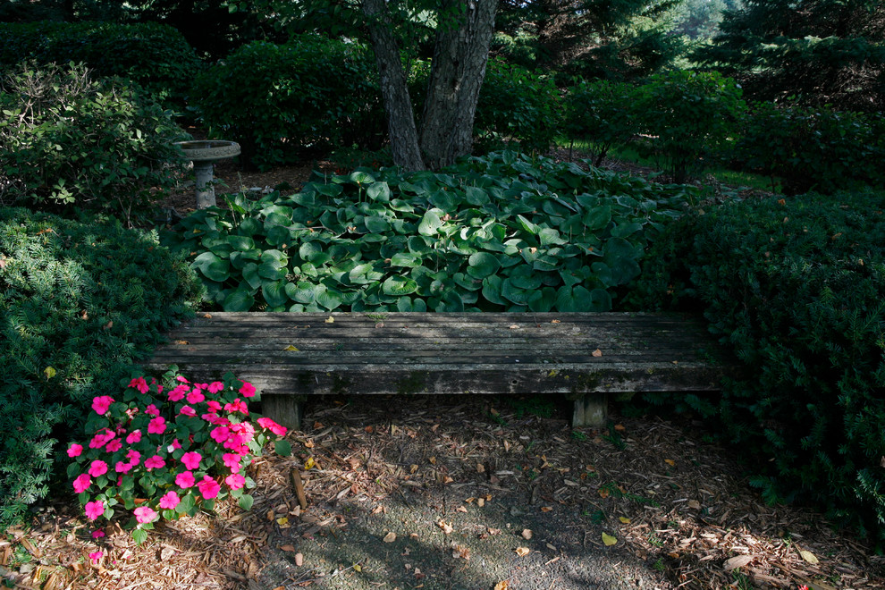 Foto di un piccolo giardino formale classico esposto a mezz'ombra in cortile in estate