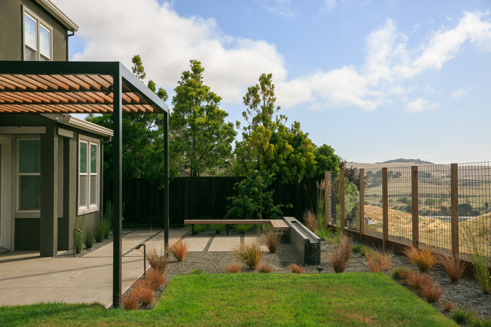 Benicia Modern Landscape San Francisco by Envision Landscape
