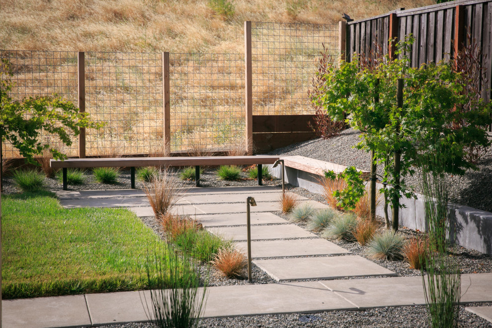 Benicia Modern Landscape San Francisco by Envision Landscape