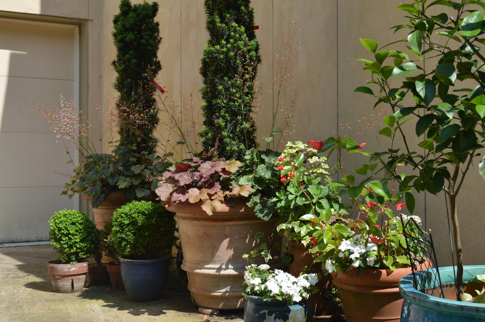 Diseño de jardín tradicional de tamaño medio en patio lateral con jardín francés, exposición reducida al sol y gravilla