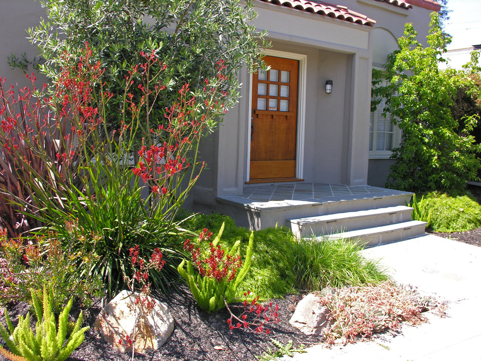 Ispirazione per un giardino xeriscape mediterraneo esposto in pieno sole davanti casa in estate con pavimentazioni in pietra naturale