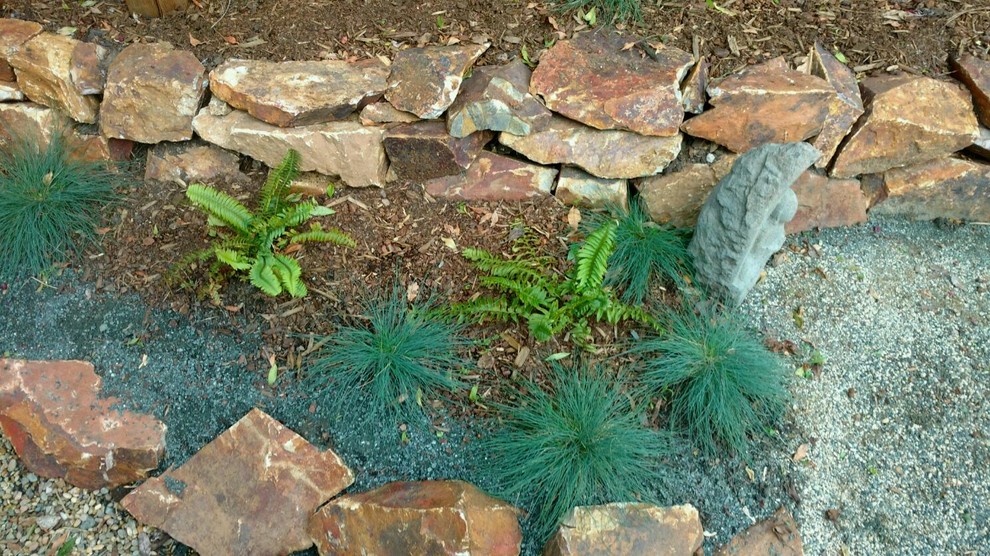 サンフランシスコにあるお手頃価格の小さなコンテンポラリースタイルのおしゃれな庭 (日向、天然石敷き、ゼリスケープ) の写真