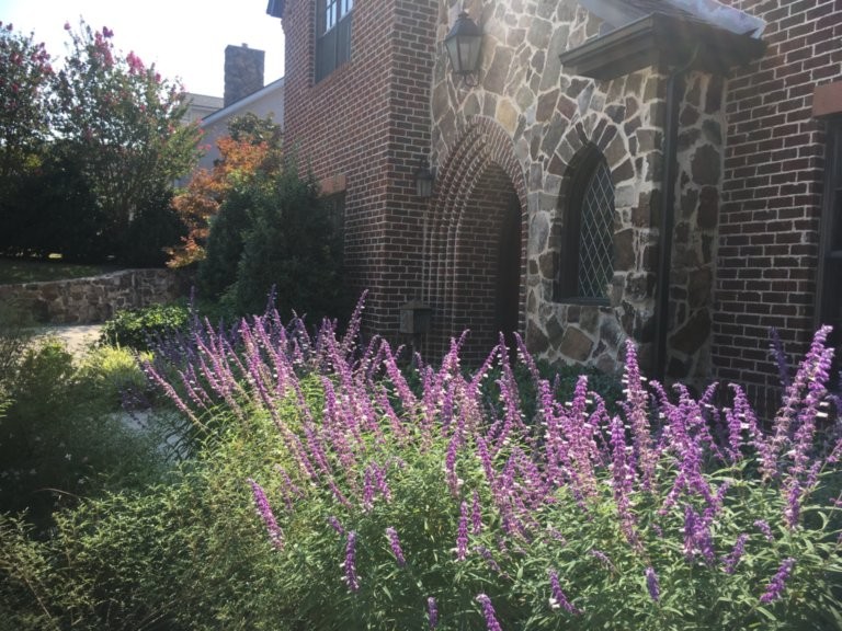 Immagine di un giardino xeriscape vittoriano esposto in pieno sole di medie dimensioni e davanti casa in estate con un ingresso o sentiero e ghiaia