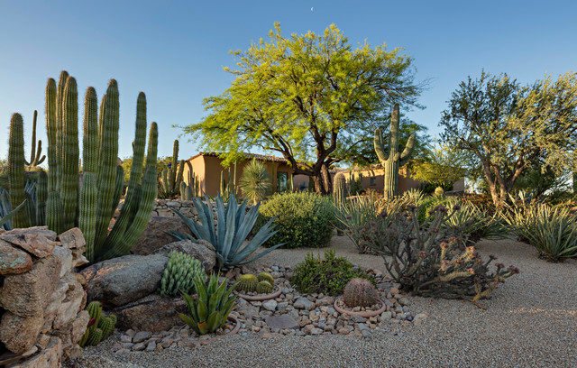 Bertsch - Estancia - American Southwest - Garden - Phoenix - by Desert ...