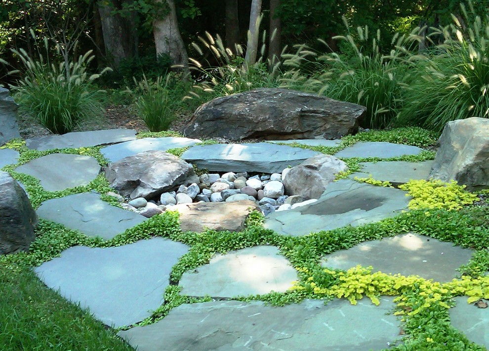 Inspiration for a contemporary landscaping in DC Metro.