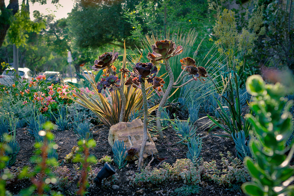 Design ideas for an eclectic drought-tolerant front yard landscaping in Los Angeles.