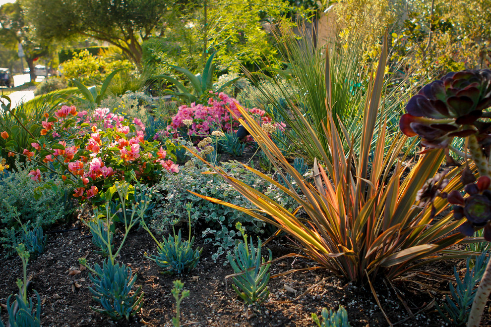 На фото: солнечный засухоустойчивый сад среднего размера на переднем дворе в стиле фьюжн с хорошей освещенностью и покрытием из каменной брусчатки с