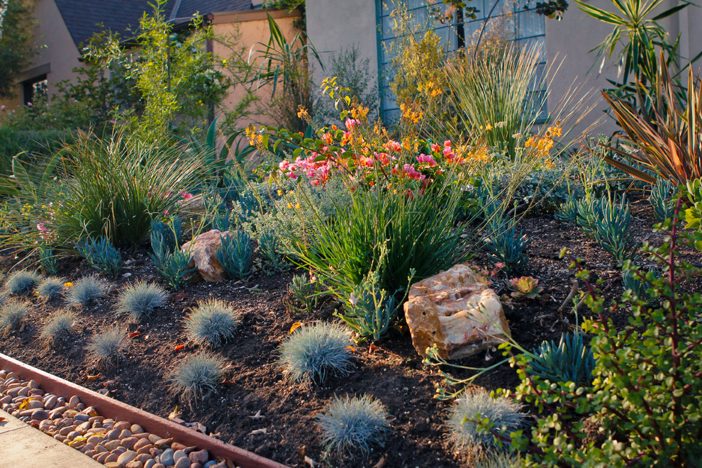 Идея дизайна: засухоустойчивый сад на переднем дворе в стиле фьюжн