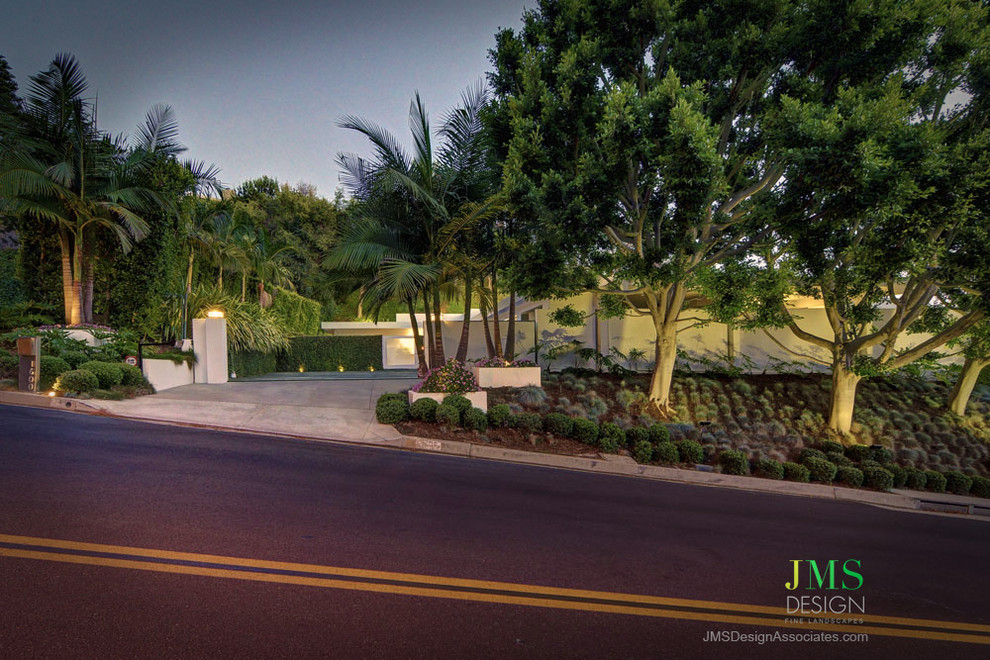 Beverly Hills Modern Landscape Los Angeles by JMS Design