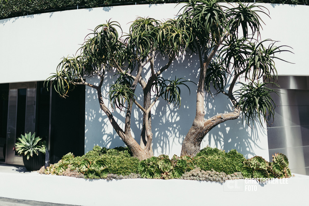 Idée de décoration pour un jardin minimaliste.