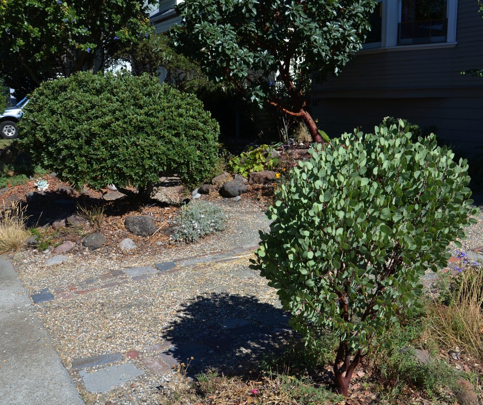 Inspiration for a front yard landscaping in San Francisco.