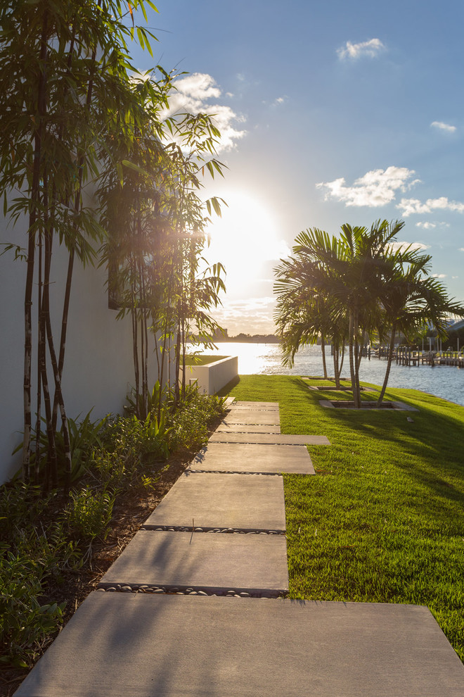 Mittelgroßer Moderner Gartenweg im Winter, neben dem Haus mit direkter Sonneneinstrahlung und Betonboden in Tampa
