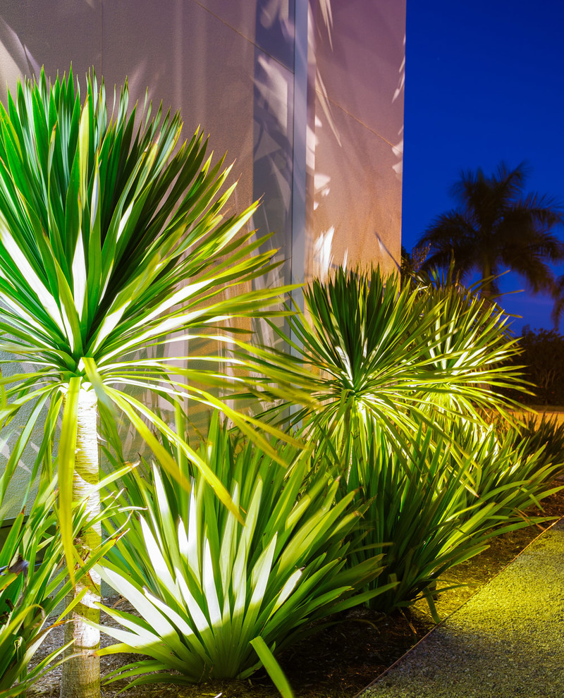 Immagine di un giardino xeriscape design esposto in pieno sole di medie dimensioni e nel cortile laterale in inverno