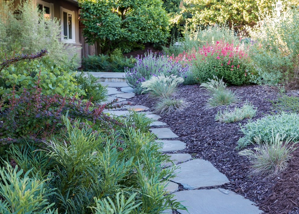 На фото: солнечный засухоустойчивый сад на переднем дворе в средиземноморском стиле с садовой дорожкой или калиткой, хорошей освещенностью и покрытием из каменной брусчатки