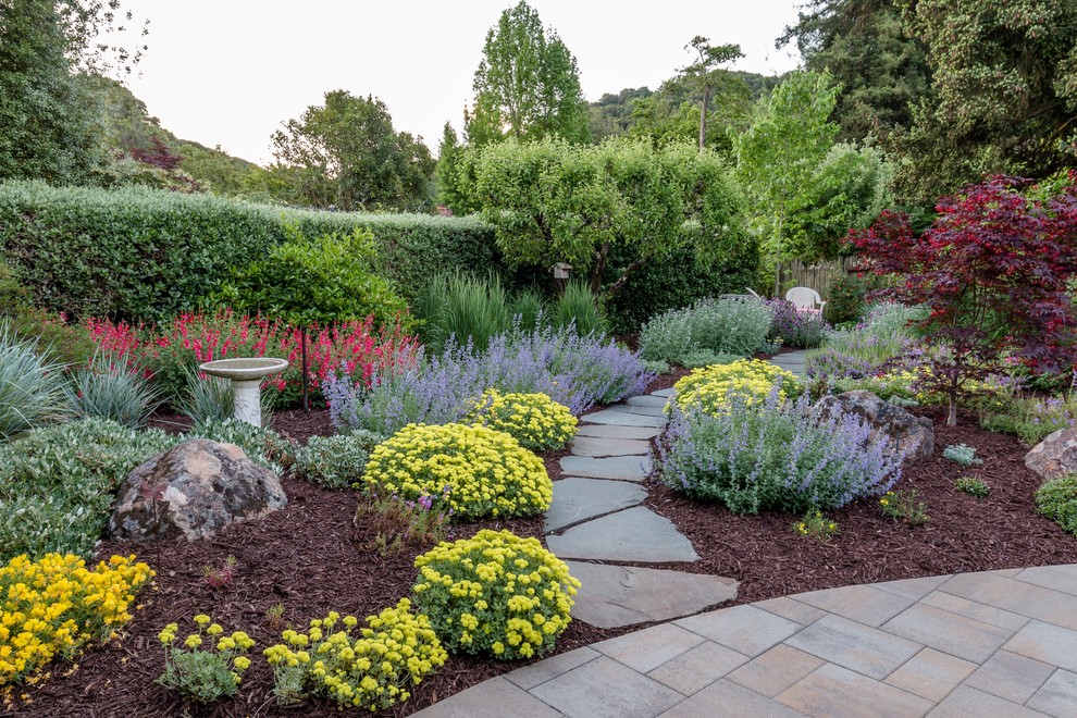 Idee per un giardino xeriscape mediterraneo esposto a mezz'ombra dietro casa con pavimentazioni in cemento