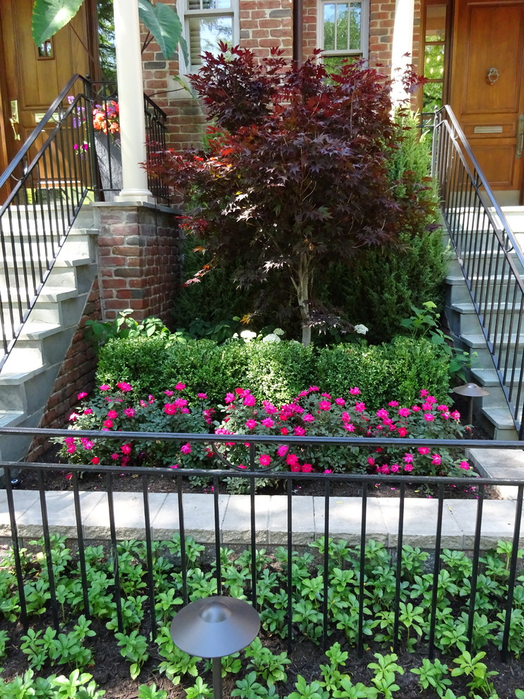 На фото: маленький регулярный сад на переднем дворе в классическом стиле с полуденной тенью и мощением клинкерной брусчаткой для на участке и в саду с