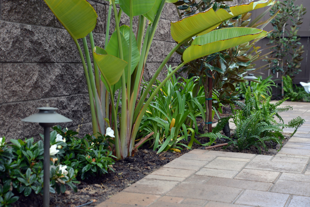 Halbschattiger Moderner Garten neben dem Haus mit Sichtschutz und Betonboden in San Diego