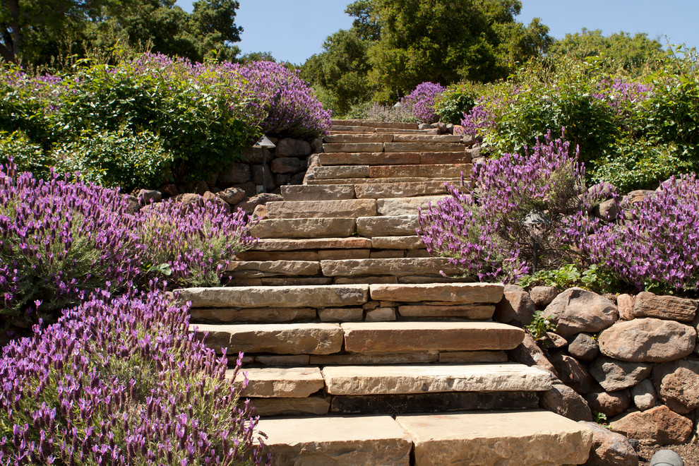 This is an example of a mediterranean sloped full sun garden for summer in San Francisco with a retaining wall and natural stone paving.