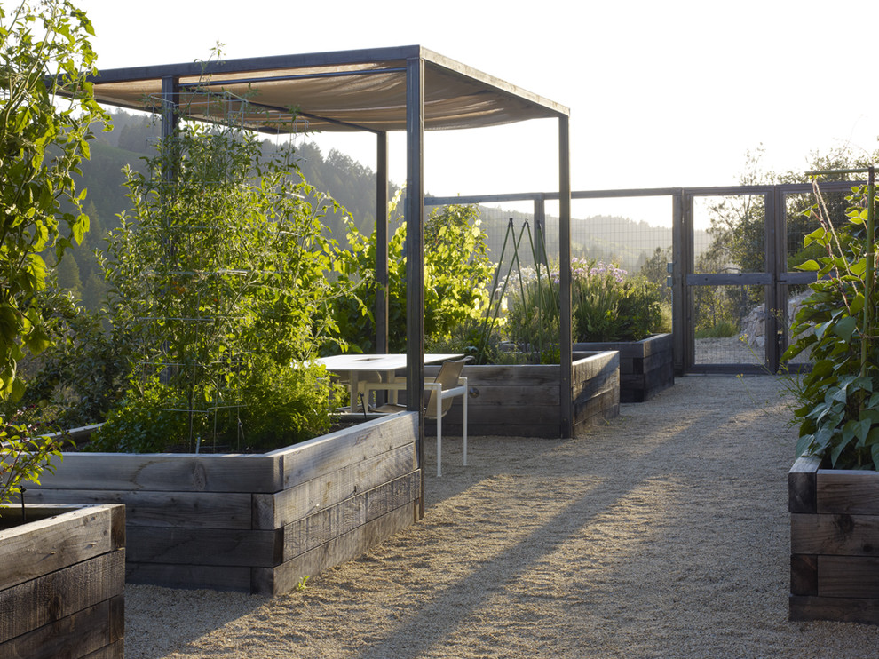 Rural back pergola in San Francisco with a vegetable patch.