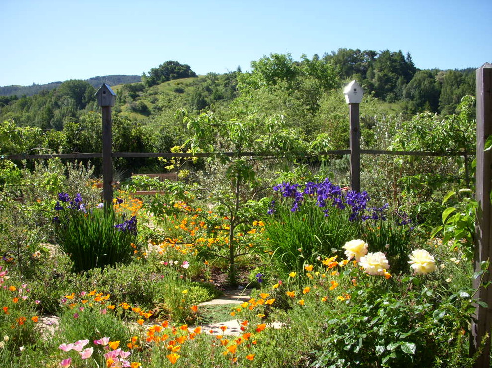 Ispirazione per un giardino contemporaneo