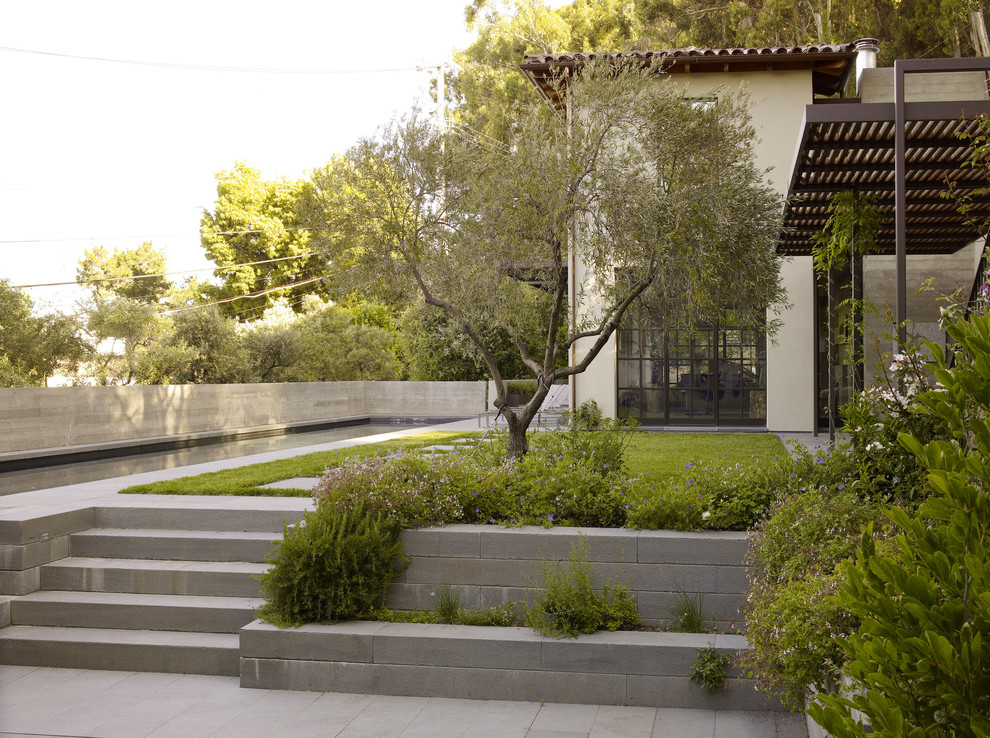 This is an example of a modern courtyard landscaping in San Francisco.