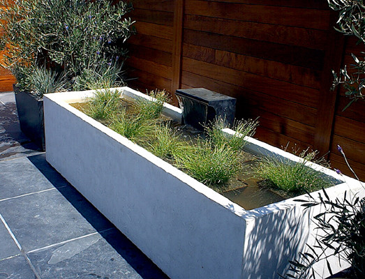 Photo of a modern landscaping in San Francisco.