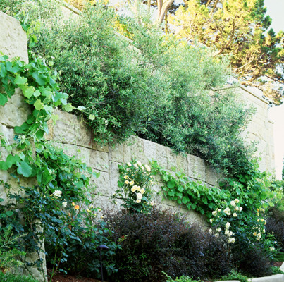 Ispirazione per un giardino mediterraneo