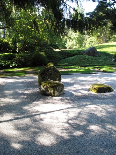 Inspiration for a modern garden in Seattle.