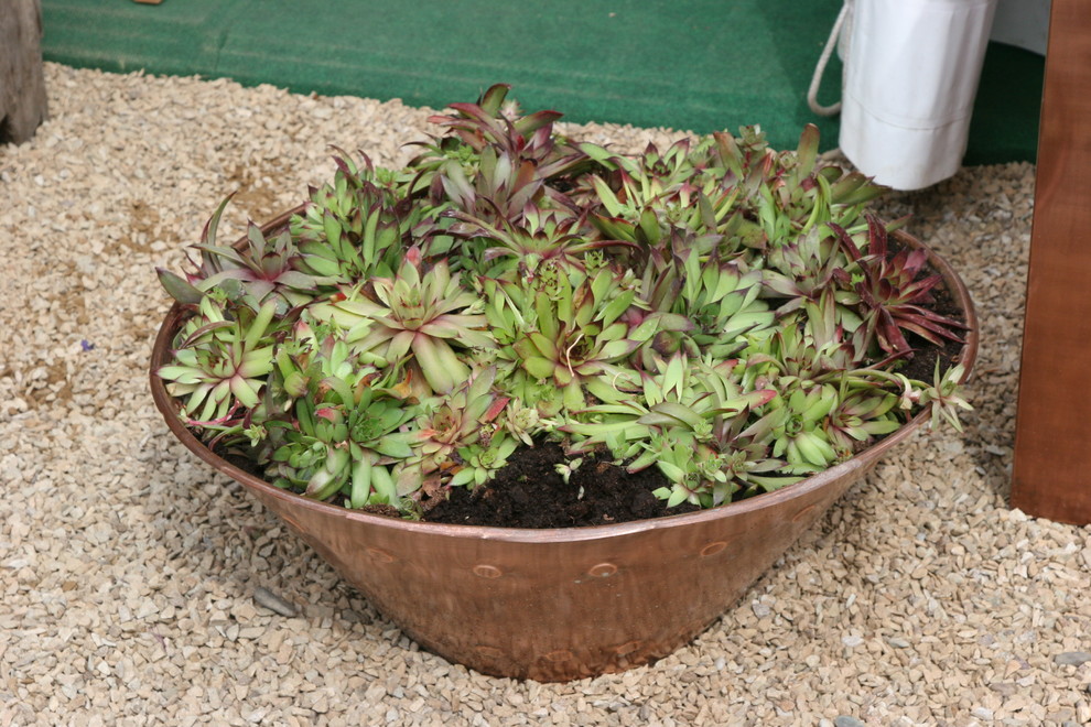 Photo of a mediterranean landscaping in Dublin.