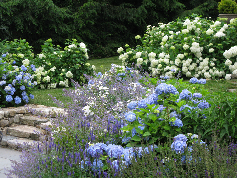 Halbschattiger Klassischer Garten im Sommer, hinter dem Haus mit Natursteinplatten