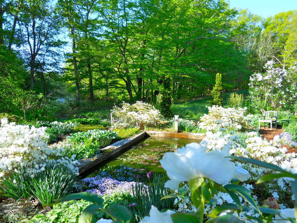 Idéer för att renovera en stor vintage trädgård, med en fontän och marktäckning