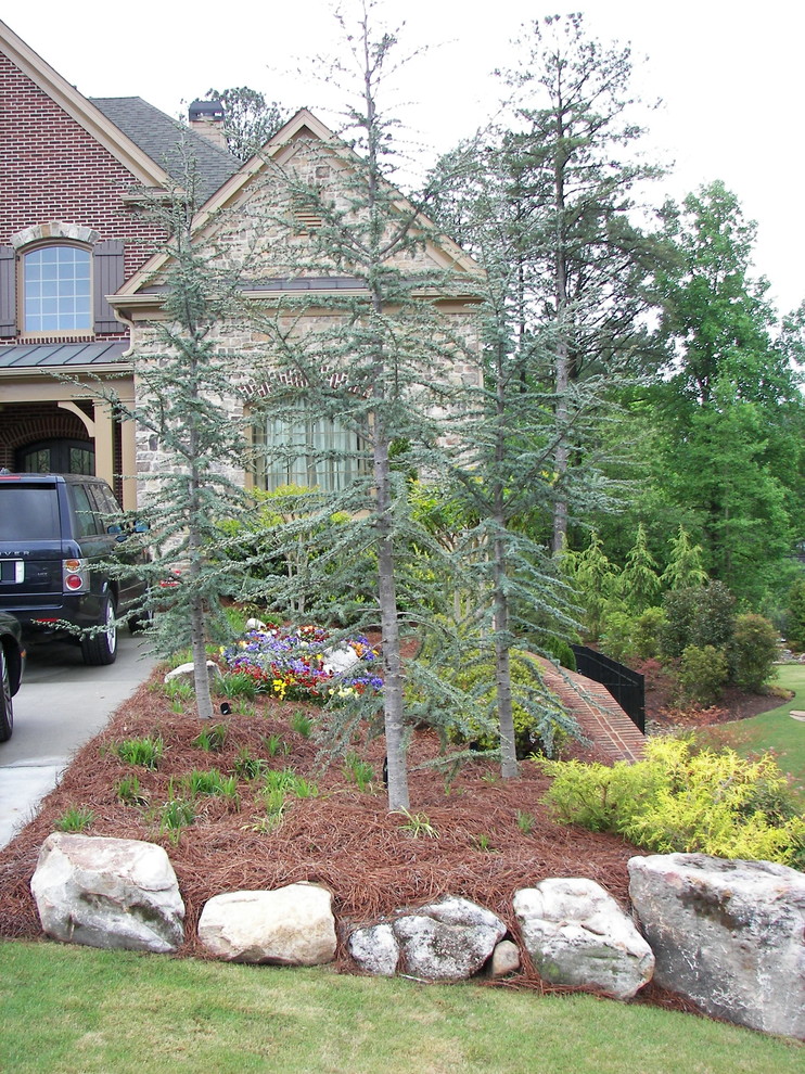 Blue Atlas Cedar Traditional Landscape Atlanta by Legacy