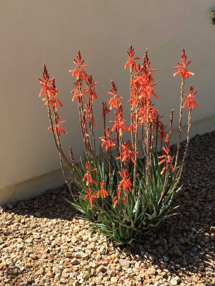 Photo of a landscaping in Other.
