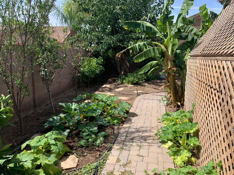 Medium sized bohemian back formal partial sun garden in Phoenix with a vegetable patch.