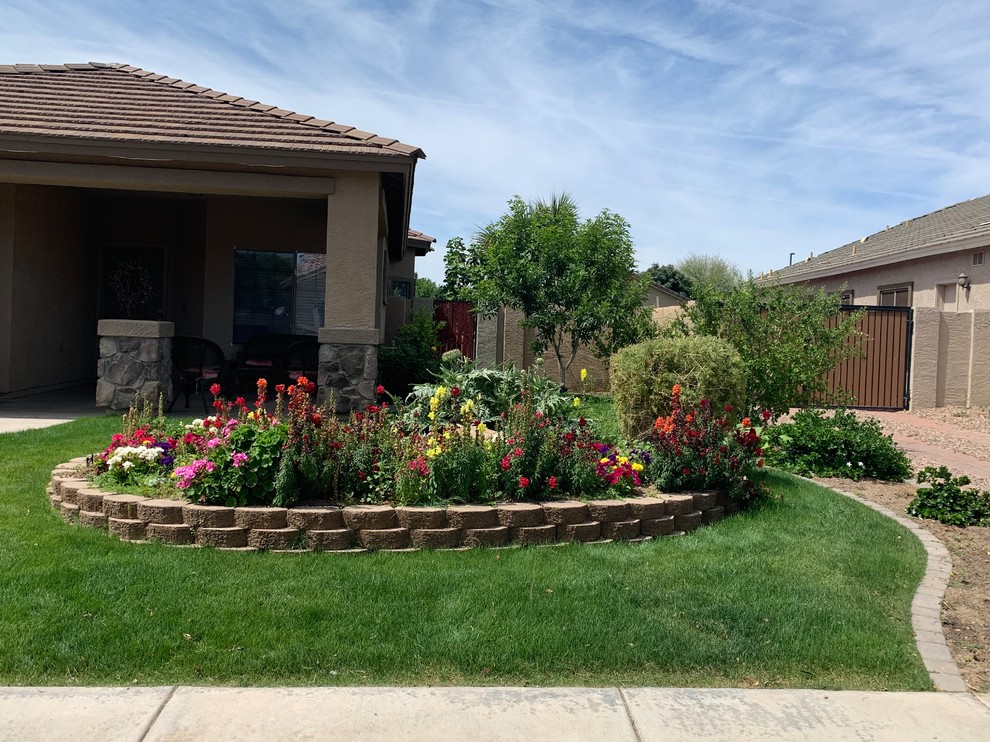 Photo of a medium sized bohemian front formal full sun garden in Phoenix with a vegetable patch.