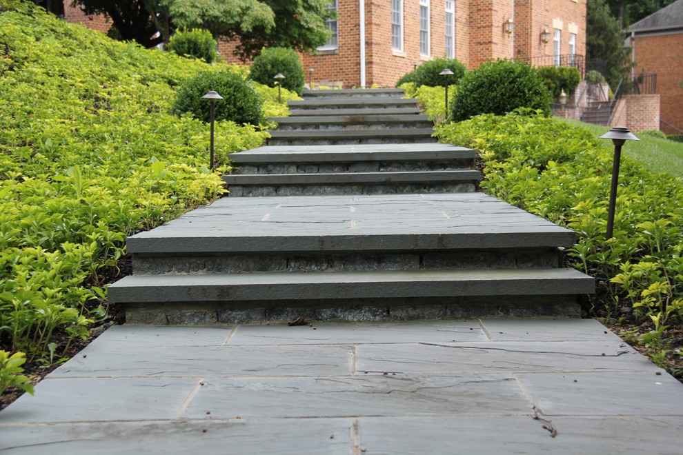 Bluestone risers and treads - Traditional - Landscape - DC Metro - by ...