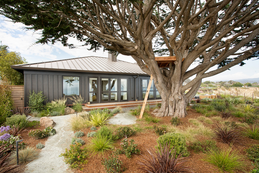 Inspiration for a coastal landscaping in San Francisco.