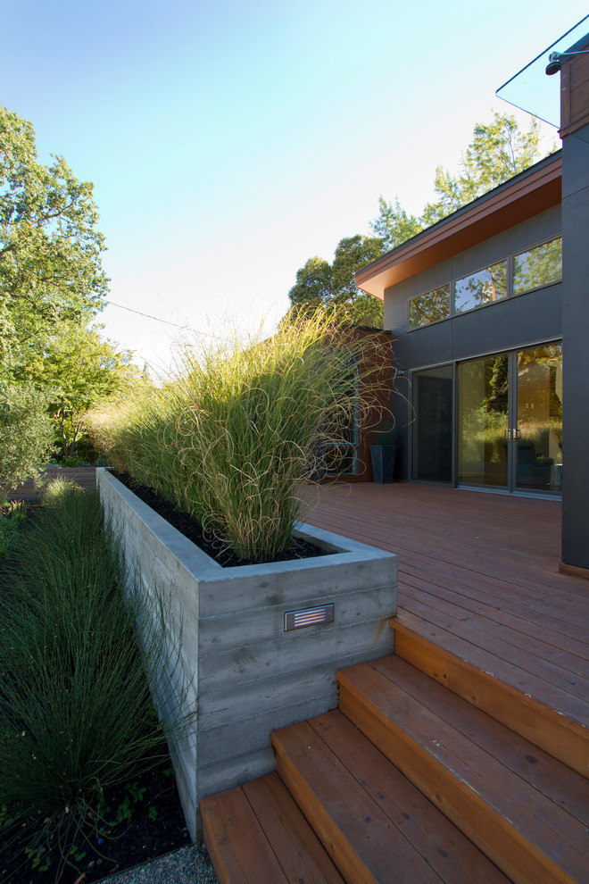 Design ideas for a large modern back partial sun garden for summer in San Francisco with a fire feature and gravel.