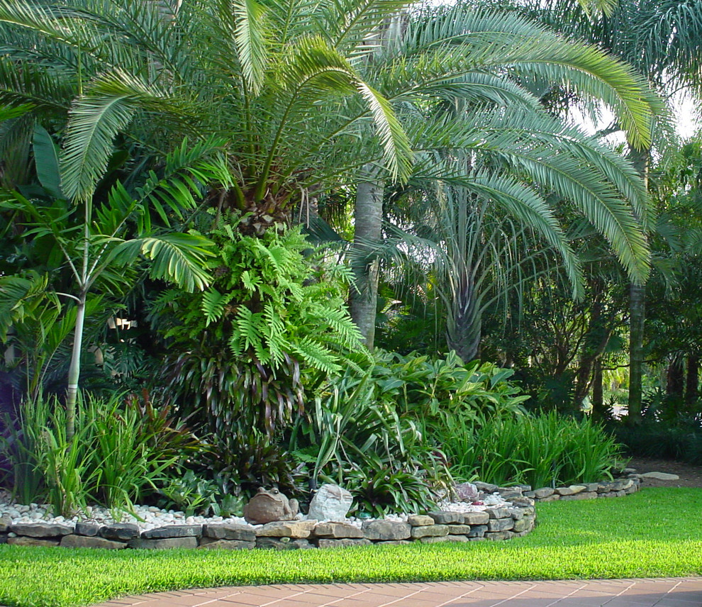Aménagement d'un jardin arrière exotique de taille moyenne et l'été avec une exposition ensoleillée et des pavés en béton.