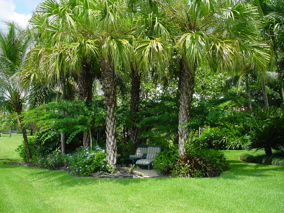 Cette image montre un jardin arrière ethnique de taille moyenne et l'été avec une exposition ensoleillée et des pavés en pierre naturelle.