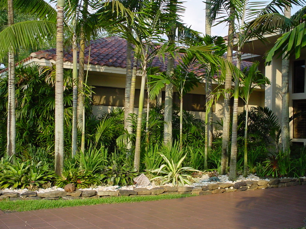Immagine di un giardino tropicale esposto in pieno sole di medie dimensioni e dietro casa in estate con pavimentazioni in cemento
