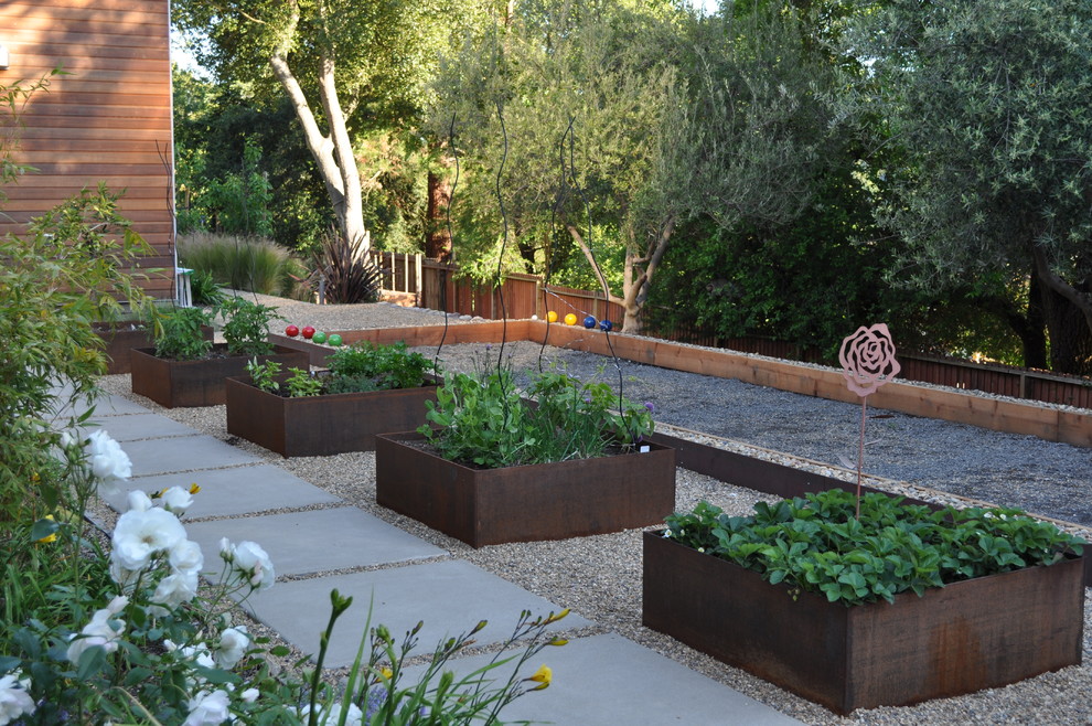Design ideas for a contemporary garden in San Francisco with a vegetable patch.