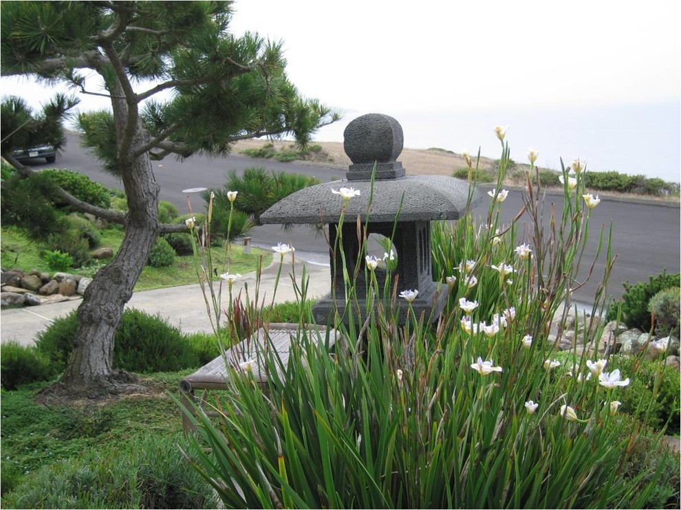 Foto di un giardino xeriscape etnico esposto in pieno sole di medie dimensioni e davanti casa in primavera con pavimentazioni in pietra naturale