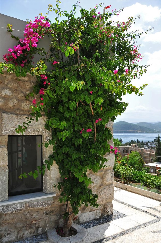 Ejemplo de jardín mediterráneo con jardín vertical y exposición total al sol